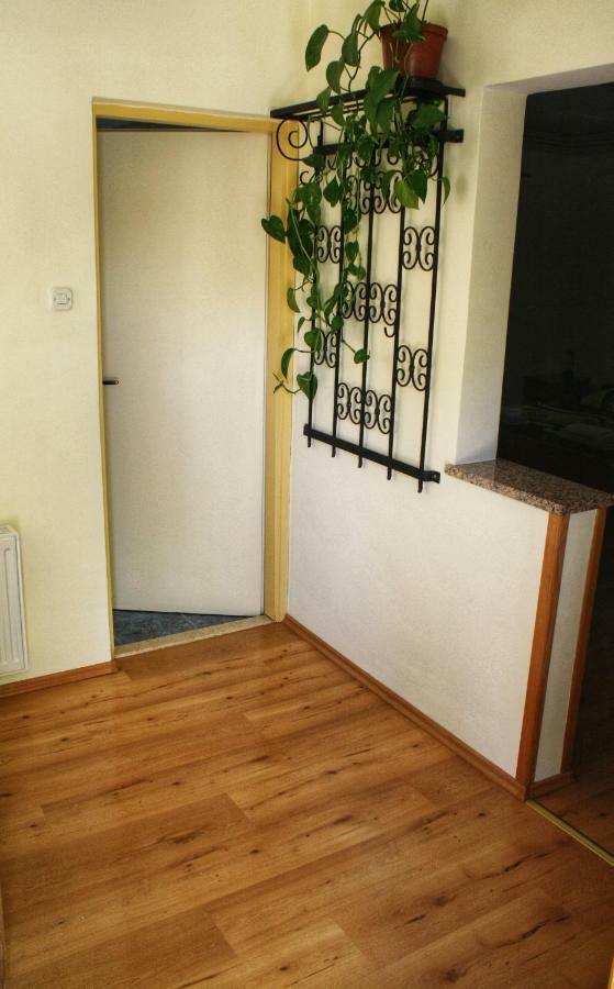 Apartments Vidos Drežnik Grad Exterior foto